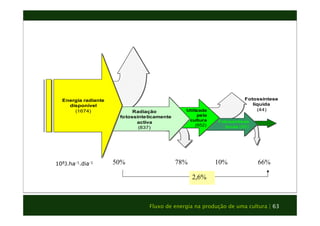 Fotossíntese 
bruta (66) 
Utilizada 
pela 
cultura 
(652) 
Radiação 
fotossinteticamente 
activa 
(837) 
Fluxo de energia na produção de uma cultura | 63 
Energia radiante 
disponível 
(1674) 
Fotossíntese 
líquida 
(44) 
50% 78% 10% 66% 
2,6% 
108J.ha-1.dia-1 
 
