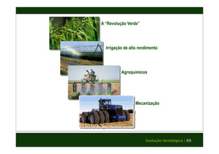 Evolução tecnológica | 69 
A “Revolução Verde” 
Irrigação de alto rendimento 
Agroquímicos 
Mecanização 
 