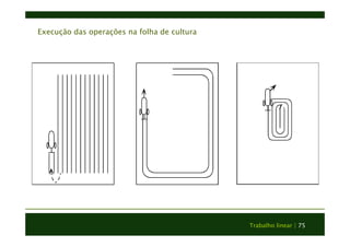 Trabalho linear | 75 
Execução das operações na folha de cultura 
 