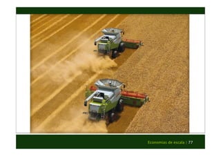 Economias de escala | 77 
 
