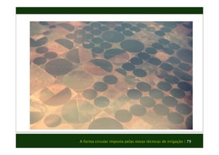 A forma circular imposta pelas novas técnicas de irrigação | 79 
 