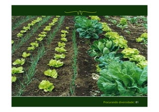 Procurando diversidade| 81 
 