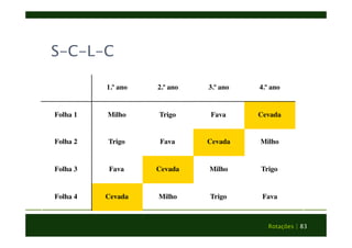Rotações | 83 
S-C-L-C 
1.º ano 2.º ano 3.º ano 4.º ano 
Folha 1 Milho Trigo Fava Cevada 
Folha 2 Trigo Fava Cevada Milho 
Folha 3 Fava Cevada Milho Trigo 
Folha 4 Cevada Milho Trigo Fava 
 