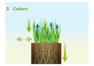 2 | 10
2.  Cultura
 