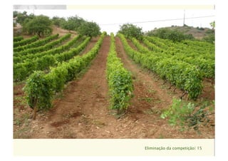 Eliminação da competição| 15
Texto
Texto
 