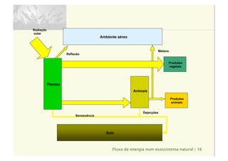 Fluxo de energia num ecossistema natural | 16
Solo
Ambiente aéreo
Animais
Senescência
Produtos
vegetais
Produtos
animais
Plantas
Dejecções
Radiação
solar
Reflexão
Metano
 