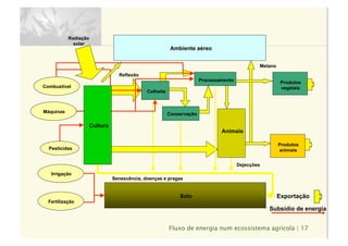 Subsídio de energia
Solo
Ambiente aéreo
Animais
Senescência, doenças e pragas
Produtos
vegetais
Produtos
animais
Dejecções
Radiação
solar
Reflexão
Metano
Processamento
Conservação
Colheita
Máquinas
Pesticidas
Irrigação
Fertilização
Combustível
Exportação
Cultura
Fluxo de energia num ecossistema agrícola | 17
 