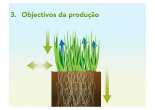 2 | 18
3.  Objectivos da produção
 