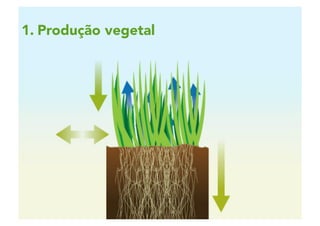 2 | 3
1. Produção vegetal
 
