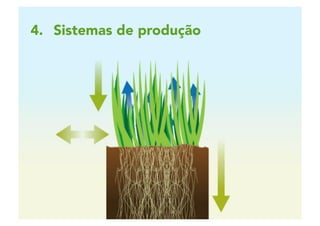 2 | 31
4.  Sistemas de produção
 