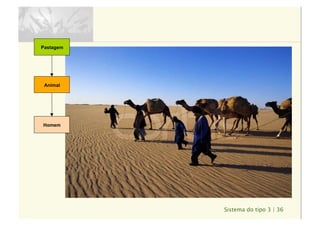 Sistema do tipo 3 | 36
Pastagem
Animal
Homem
 