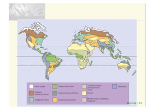 Biomas | 41
 