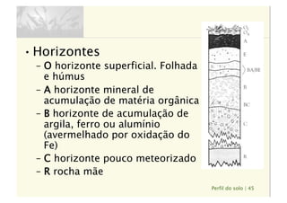 Perfil do solo | 45
• Horizontes
–  O horizonte superficial. Folhada
e húmus
–  A horizonte mineral de
acumulação de matéria orgânica
–  B horizonte de acumulação de
argila, ferro ou alumínio
(avermelhado por oxidação do
Fe)
–  C horizonte pouco meteorizado
–  R rocha mãe
 