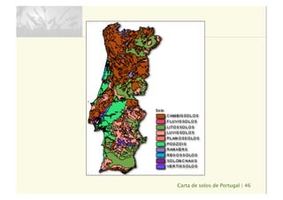 Carta de solos de Portugal | 46
 