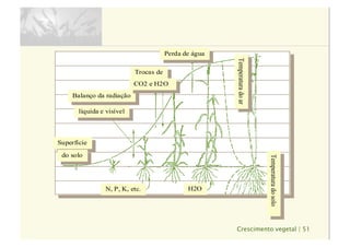Crescimento vegetal | 51
N, P, K, etc.
Superfície
do solo
Balanço da radiação
líquida e visível
Trocas de
CO2 e H2O
Perda de água
Temperaturadoar
H2O
Temperaturadosolo
 