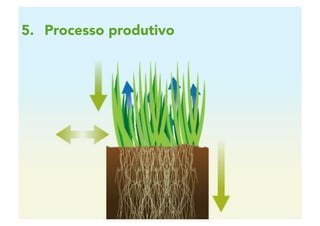 2 | 52
5.  Processo produtivo
 