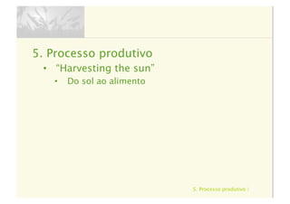 5. Processo produtivo | 53
5.  Processo produtivo
•  “Harvesting the sun”
•  Do sol ao alimento
 