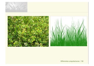 Diferentes arquitecturas | 58
 