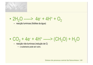 Síntese do processo central da fotossíntese | 60
•  2H2O -----> 4e- + 4H+ + O2
–  reacção luminosa (fotólise da água)
•  CO2 + 4e- + 4H+ -----> (CH2O) + H2O
–  reacção não-luminosa (redução de C)
•  o substracto pode ser outro.
 