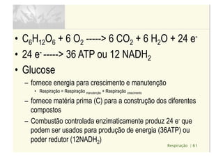 Respiração | 61
•  C6H12O6 + 6 O2 -----> 6 CO2 + 6 H2O + 24 e-
•  24 e- -----> 36 ATP ou 12 NADH2
•  Glucose
–  fornece energia para crescimento e manutenção
•  Respiração = Respiração manutenção + Respiração crescimento
–  fornece matéria prima (C) para a construção dos diferentes
compostos
–  Combustão controlada enzimaticamente produz 24 e- que
podem ser usados para produção de energia (36ATP) ou
poder redutor (12NADH2)
 