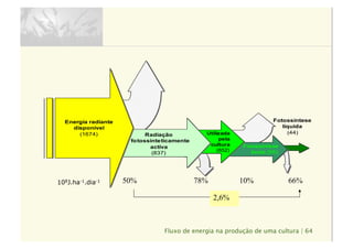 Fluxo de energia na produção de uma cultura | 64
Fotossíntese
bruta (66)
Utilizada
pela
cultura
(652)
Radiação
fotossinteticamente
activa
(837)
Energia radiante
disponível
(1674)
Fotossíntese
líquida
(44)
50% 78% 10% 66%
2,6%
108J.ha-1.dia-1
 