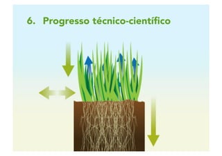 2 | 65
6.  Progresso técnico-cientíﬁco
 