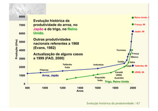 França
México
Formosa
Ceilão
IndonésiaTailândia
Índia
Filipinas
Itália
USA
Canadá
URSS
AustráliaPaquistão
Índia
0
1000
2000
3000
4000
5000
6000
7000
8000
800 1000 1200 1400 1600 1800 2000
Anos
Produção(t/ha)
Arroz, Japão
Trigo, Reino Unido
Evolução histórica da
produtividade do arroz, no
Japão e do trigo, no Reino
Unido.
Outras produtividades
nacionais referentes a 1968
(Evans, 1982)
Actualização de alguns casos
a 1999 (FAO, 2000)
Evolução histórica da produtividade | 67
Japão, 99
Tailândia, 99
Reino Unido, 99
França, 99
URSS, 99
 