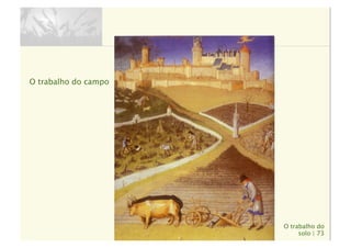 O trabalho do
solo | 73
O trabalho do campo
 