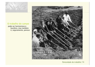 Penosidade do trabalho| 74
O trabalho do campo
pode ser harmonioso e
bucólico, mas também
é, seguramente, penoso
Paredes deCoura,
Mozelos. “Vezeiras
Oliveira, E.V et al.,
1983
 