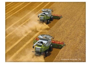 Economias de escala | 78
 