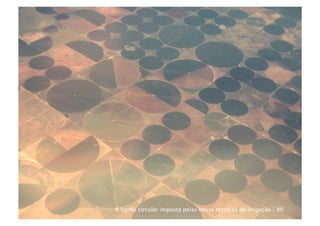 A forma circular imposta pelas novas técnicas de irrigação | 80
 