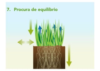 2 | 82
7.  Procura de equilíbrio
 