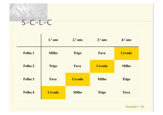 Rotações | 85
S-C-L-C
1.º ano 2.º ano 3.º ano 4.º ano
Folha 1 Milho Trigo Fava Cevada
Folha 2 Trigo Fava Cevada Milho
Folha 3 Fava Cevada Milho Trigo
Folha 4 Cevada Milho Trigo Fava
 