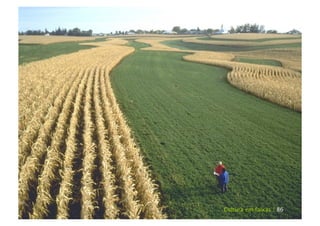 Cultura em faixas | 86
 