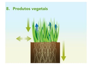 2 | 88
8.  Produtos vegetais
 