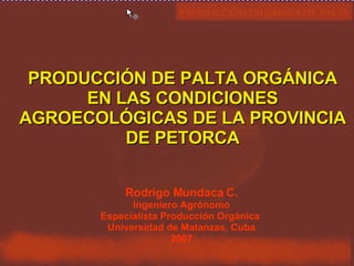 PRODUCCIÓN DE PALTA ORGÁNICA EN LAS CONDICIONES AGROECOLÓGICAS DE LA PROVINCIA DE PETORCA Rodrigo Mundaca C. Ingeniero Agr...