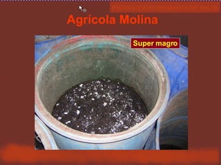 Agrícola Molina Super magro 