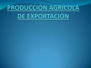 PRODUCCIÓN AGRÍCOLA DE EXPORTACIÓN 