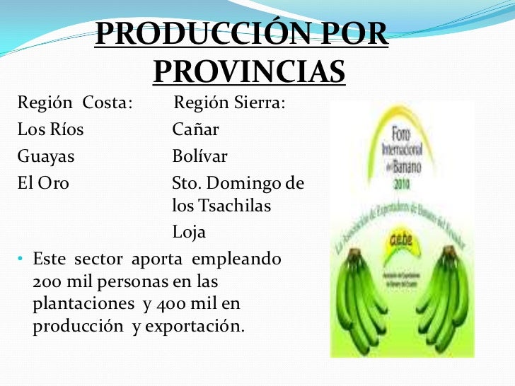 Produccion Agricola De Exportacion