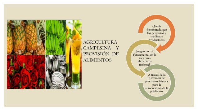 Produccion Agricola Del Ecuador