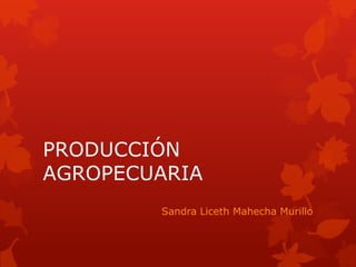 PRODUCCIÓN
AGROPECUARIA
        Sandra Liceth Mahecha Murillo
 