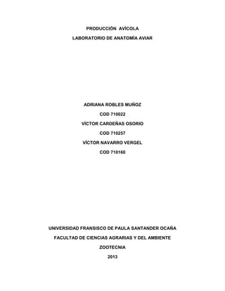 PRODUCCIÓN AVÍCOLA
LABORATORIO DE ANATOMÍA AVIAR
ADRIANA ROBLES MUÑOZ
COD 710022
VÍCTOR CARDEÑAS OSORIO
COD 710257
VÍCTOR NAVARRO VERGEL
COD 710160
UNIVERSIDAD FRANSISCO DE PAULA SANTANDER OCAÑA
FACULTAD DE CIENCIAS AGRARIAS Y DEL AMBIENTE
ZOOTECNIA
2013
 