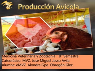 Medicina Veterinaria y Zootecnia 8º Semestre
Catedrático: MVZ. José Miguel Jasso Ávila
Alumna: eMVZ. Alondra Gpe. Obregón Glez.
 