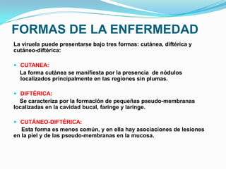 FORMAS DE LA ENFERMEDAD
La viruela puede presentarse bajo tres formas: cutánea, diftérica y
cutáneo-diftérica:

 CUTANEA:
  La forma cutánea se manifiesta por la presencia de nódulos
  localizados principalmente en las regiones sin plumas.

 DIFTÉRICA:
  Se caracteriza por la formación de pequeñas pseudo-membranas
localizadas en la cavidad bucal, faringe y laringe.

 CUTÁNEO-DIFTÉRICA:
   Esta forma es menos común, y en ella hay asociaciones de lesiones
en la piel y de las pseudo-membranas en la mucosa.
 