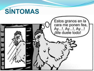 SÍNTOMAS
 