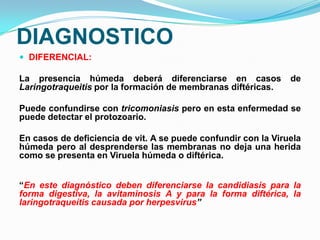 DIAGNOSTICO
 DIFERENCIAL:

La presencia húmeda deberá diferenciarse en casos               de
Laringotraqueitis por la formación de membranas diftéricas.

Puede confundirse con tricomoniasis pero en esta enfermedad se
puede detectar el protozoario.

En casos de deficiencia de vit. A se puede confundir con la Viruela
húmeda pero al desprenderse las membranas no deja una herida
como se presenta en Viruela húmeda o diftérica.


“En este diagnóstico deben diferenciarse la candidiasis para la
forma digestiva, la avitaminosis A y para la forma diftérica, la
laringotraqueítis causada por herpesvirus”
 