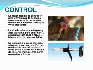 CONTROL
 La mejor medida de control en
  aves domésticas de especies
  amenazadas es la prevención
  mediante vacunación con cepas
  vivas atenuadas

 La viruela aviar es contagiosa y
  algo elemental para controlar su
  aparición y propagación es la
  interrupción de la transmisión.

 La transmisión puede atacarse,
  además de con vacunación, con
  medidas de control ambiental.
  Entre éstas evitar la abundancia
  de vectores transmisores como
  mosquitos y ácaros
 