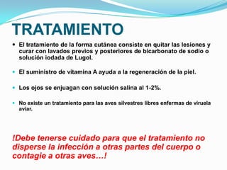 TRATAMIENTO
 El tratamiento de la forma cutánea consiste en quitar las lesiones y
  curar con lavados previos y posteriores de bicarbonato de sodio o
  solución iodada de Lugol.

 El suministro de vitamina A ayuda a la regeneración de la piel.

 Los ojos se enjuagan con solución salina al 1-2%.

 No existe un tratamiento para las aves silvestres libres enfermas de viruela
  aviar.




!Debe tenerse cuidado para que el tratamiento no
disperse la infección a otras partes del cuerpo o
contagie a otras aves…!
 