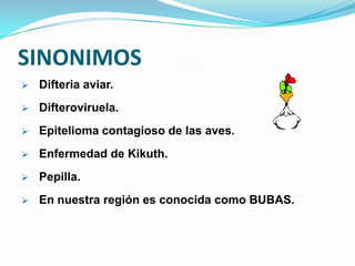 SINONIMOS
   Difteria aviar.
   Difteroviruela.
   Epitelioma contagioso de las aves.
   Enfermedad de Kikuth.
   Pepilla.
   En nuestra región es conocida como BUBAS.
 