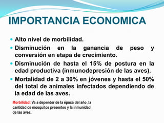 IMPORTANCIA ECONOMICA
 Alto nivel de morbilidad.
 Disminución     en la ganancia de peso y
  conversión en etapa de crecimiento.
 Disminución de hasta el 15% de postura en la
  edad productiva (inmunodepresión de las aves).
 Mortalidad de 2 a 30% en jóvenes y hasta el 50%
  del total de animales infectados dependiendo de
  la edad de las aves.
 Morbilidad: Va a depender de la época del año ,la
 cantidad de mosquitos presentes y la inmunidad
 de las aves.
 